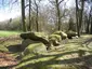 Großsteingrab Dalum