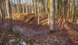 Schwedenschanze (Preußisch Oldendorf)