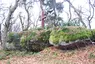 Kaltenstein