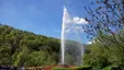 Andernach Geyser