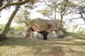 Großdolmen von Gaarzerhof