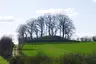 Brautberg