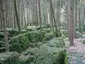 Druidenhain