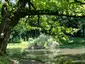 Zugdidi Botanical Gardens