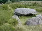 Hunebed D39 Boswachterij Emmen