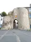 Château de Mauléon