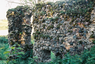 Tarvastu Castle Ruins