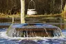 Tuhala Witch's Well