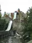 Dino splash
