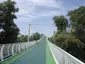 Cycling Bridge of Freedom