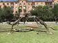 Impala leap