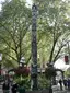 Seattle Totem Pole