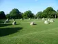 Millennium Stone Circle