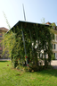 Pavillon