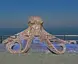 Octopus Sculpture