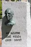 Busto de José Veiga