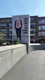 Damsko Strijder
