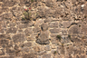 Sheela-na-gig