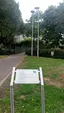 Paar im Park