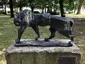 Panther