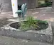 Pelikangruppe