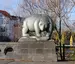 Vier Bären