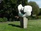 Möwen