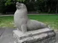 Seelöwe