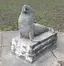 Seelöwe