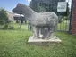 Pony