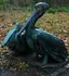 Pelikanpärchen