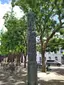 Menschensäule
