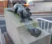 Kleiner Wassergeist