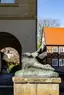Spiekerhof Geese Spiekerhof Geese
