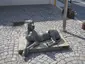 Dogge