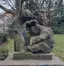 Zwei Bären (nördliche Gruppe)