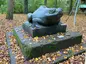 Frosch