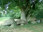 Hunebed Westenesch-N D42