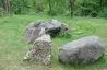 Hunebed D31 Hunzebos