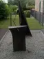 Die Eisenprobe