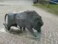 Ziehende Bache mit Frischlingen