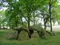 Hunebed D29 Buinen