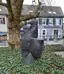Denkender Kopf