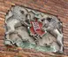 Bremern Staatswappen 1608