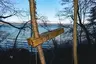 Wäscheklammern