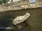 Krokodil
