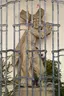 Jesus Christ bearing the Cross Jesus Christ bearing the Cross