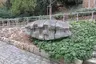 Prastará moudrost