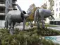 Pegasové