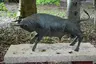 De stier